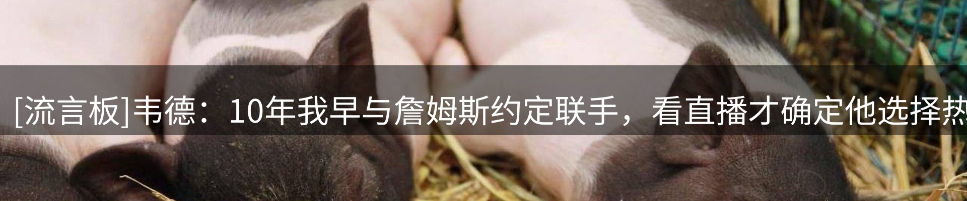 内页banner